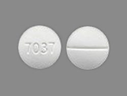 Premarin with Methyltestosterone (Generic Estrogen)